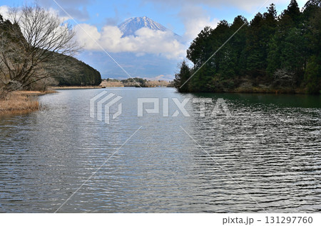 静岡県富士宮市　田貫湖畔より望む冬の富士山 131297760