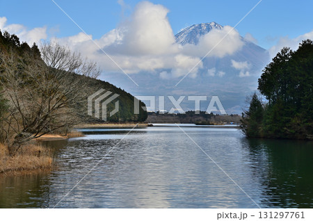 静岡県富士宮市 田貫湖畔より望む冬の富士山 静岡県富士宮市 田貫湖畔より望む冬の富士山 131297761