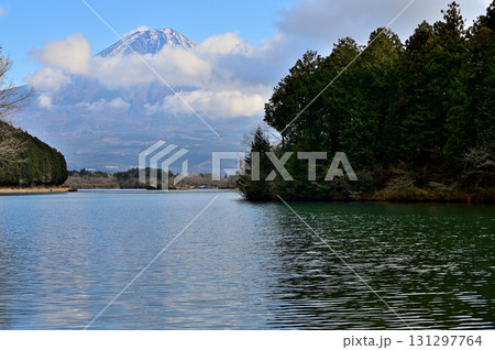 静岡県富士宮市　田貫湖畔より望む冬の富士山 131297764