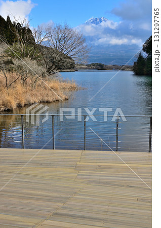静岡県富士宮市　田貫湖畔より望む冬の富士山 131297765