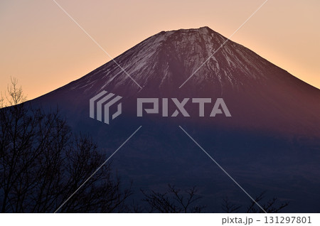 天子山地の長者ヶ岳 富士山展望台からの朝焼けの富士 天子山地の長者ヶ岳 富士山展望台からの朝焼けの富士 131297801