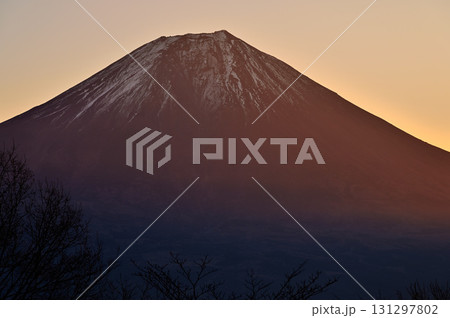 天子山地の長者ヶ岳 富士山展望台からの朝焼けの富士 天子山地の長者ヶ岳 富士山展望台からの朝焼けの富士 131297802