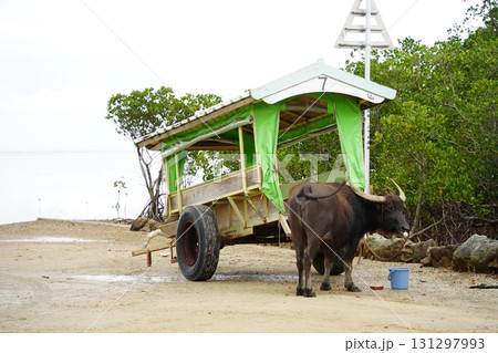 沖縄県　由布島 131297993