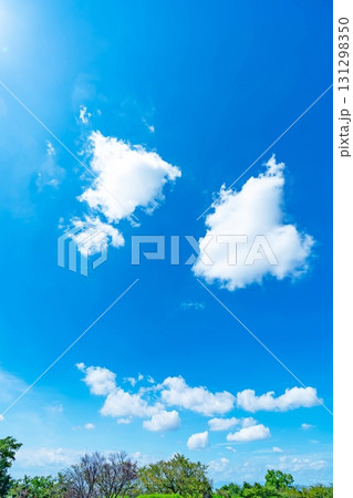 青空と雲と木立 131298350