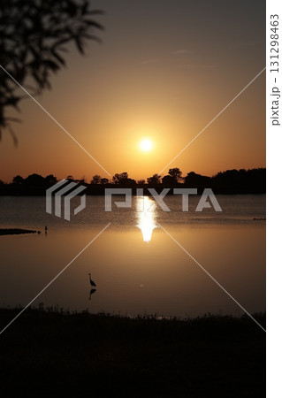 夕暮れの池 131298463