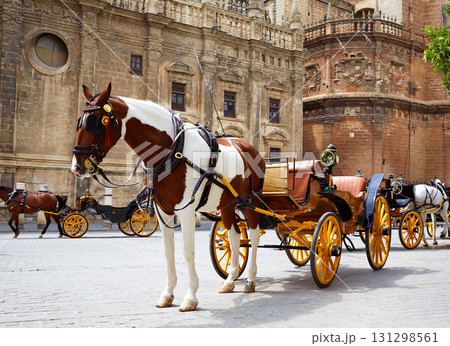 Seville horse carriages in Cathedral of Sevilla 131298561