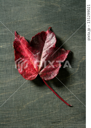 Leaves still of autumn leaves, dark wood background Leaves still of autumn leaves, dark wood background 131299021