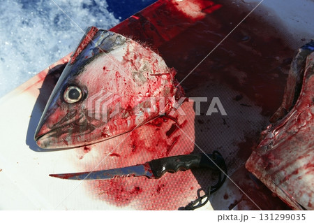 Bloody Mediterranean tuna fish preparation 131299035