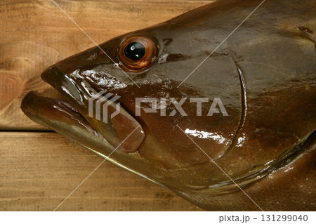 Grouper fish seafood, fishing catch over wood Grouper fish seafood, fishing catch over wood 131299040