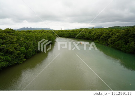 沖縄県　石垣島　宮良川のヒルギ林 131299113