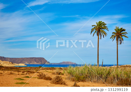 Almeria Cabo de Gata Playazo Rodalquilar beach Almeria Cabo de Gata Playazo Rodalquilar beach 131299119