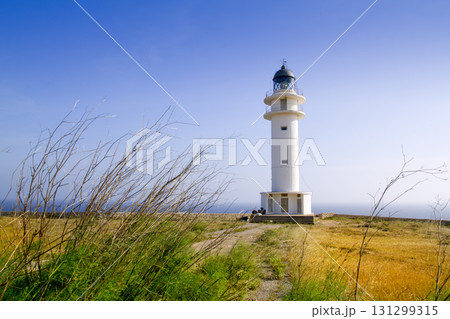 Barbaria berberia cape lighthouse Formentera meadow 131299315