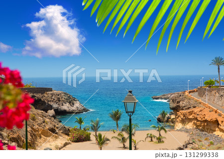 Beach Playa Paraiso costa Adeje in Tenerife Beach Playa Paraiso costa Adeje in Tenerife 131299338