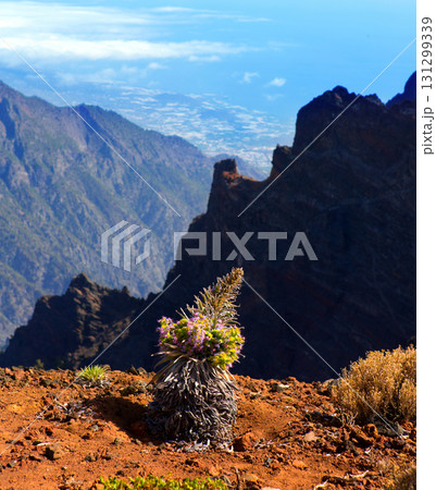 Caldera de Taburiente in Roque Muchachos Caldera de Taburiente in Roque Muchachos 131299339
