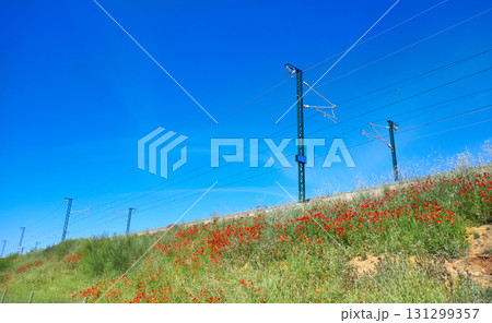 Railway at Camino de Santiago Levante 131299357