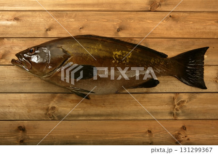 Grouper fish seafood, fishing catch over wood Grouper fish seafood, fishing catch over wood 131299367