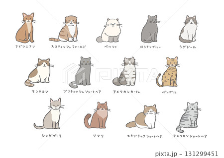 いろいろな種類の猫のイラストセット/日本語 131299451