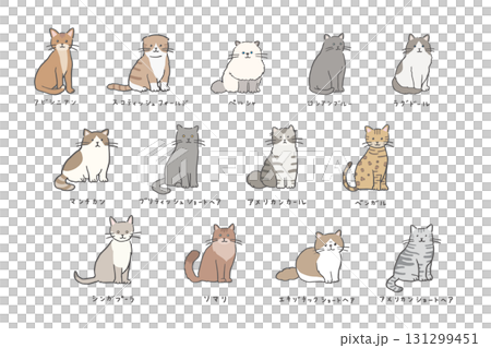 いろいろな種類の猫のイラストセット/日本語 131299451