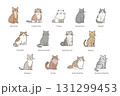 いろいろな種類の猫のイラストセット/英語 131299453