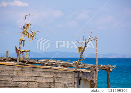 Peix sec is wind dried fish typical from Balearic Islands 131299503