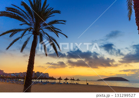 Mallorca sunrise in Magaluf Palmanova beach 131299527