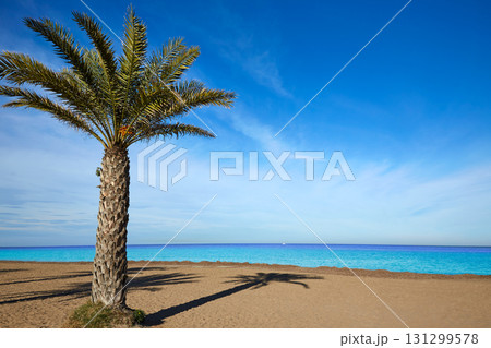 Denia Las Marinas beach palm trees in Spain Denia Las Marinas beach palm trees in Spain 131299578