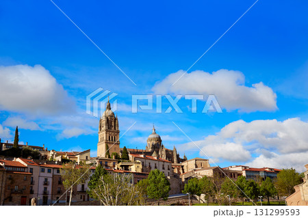 Salamanca skyline and Cathedral Spain 131299593