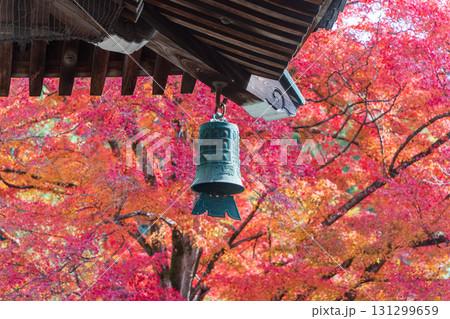南禅寺の鐘と紅葉の風景 南禅寺の鐘と紅葉の風景 131299659