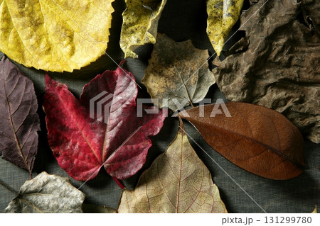 Still of autumn leaves, dark wood background, fall image Still of autumn leaves, dark wood background, fall image 131299780