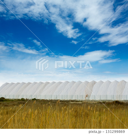 Saltworks in Alicante province Santa Pola Saltworks in Alicante province Santa Pola 131299869
