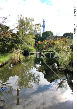 東京 向島百花園の池 東京 向島百花園の池 131299962