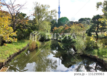 東京 向島百花園の池 東京 向島百花園の池 131299963