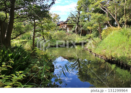 東京 向島百花園 御成座敷と池 東京 向島百花園 御成座敷と池 131299964