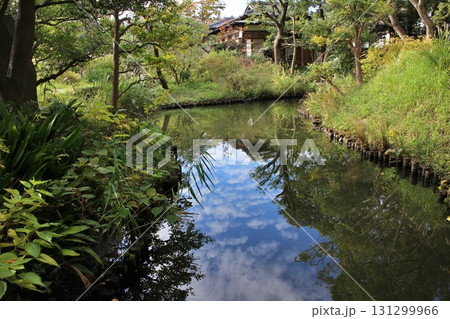 東京 向島百花園 御成座敷と池 東京 向島百花園 御成座敷と池 131299966