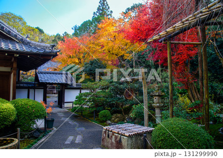 京都泉涌寺の塔頭 新善光寺の紅葉 京都泉涌寺の塔頭 新善光寺の紅葉 131299990