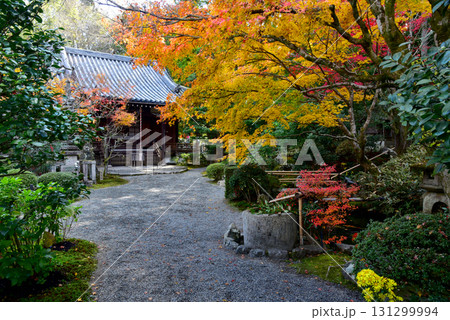 京都泉涌寺の塔頭 新善光寺 京都泉涌寺の塔頭 新善光寺 131299994