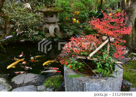 京都泉涌寺の塔頭　新善光寺の庭園 131299996