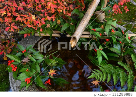 京都泉涌寺の塔頭 新善光寺の庭園 京都泉涌寺の塔頭 新善光寺の庭園 131299999