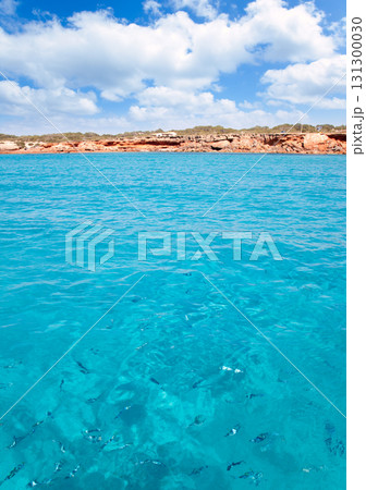 Cala Saona beach in formentera with fishes Cala Saona beach in formentera with fishes 131300030