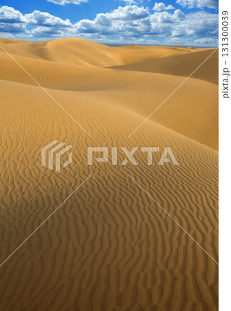 Desert sand dunes in Maspalomas Gran Canaria Desert sand dunes in Maspalomas Gran Canaria 131300039