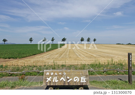 女満別メルヘンの丘　メルヘンの丘　丘陵地帯 131300070