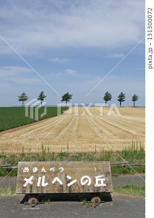 女満別メルヘンの丘　メルヘンの丘　丘陵地帯 131300072