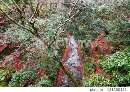 京都　冬の東福寺　臥雲橋から見た洗玉澗（京都市東山区） 131300183