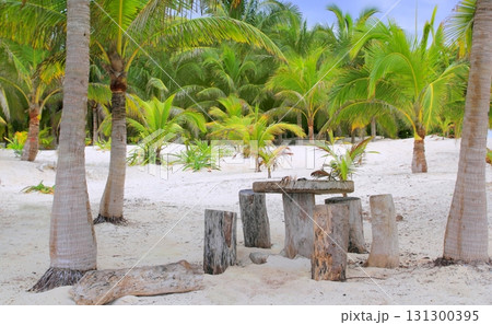 coconut Tulum palm trees beach table and seats coconut Tulum palm trees beach table and seats 131300395