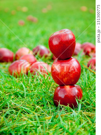 three red apples stacked in grass field three red apples stacked in grass field 131300775