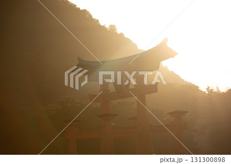 広島県 宮島 嚴島神社 広島県 宮島 嚴島神社 131300898