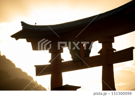 広島県　宮島　嚴島神社 131300899