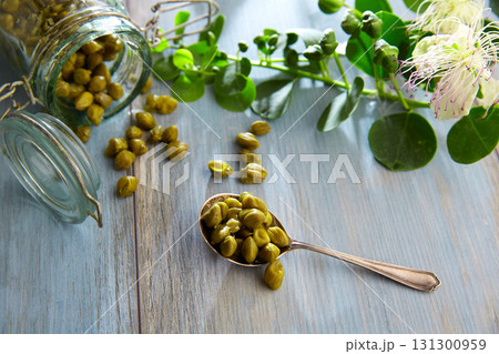 Capers pickled with plant and caper plant flower 131300959
