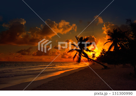 Tulum beach sunset palm tree Riviera Maya 131300990