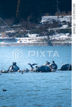 滋賀県　余呉湖 131301180